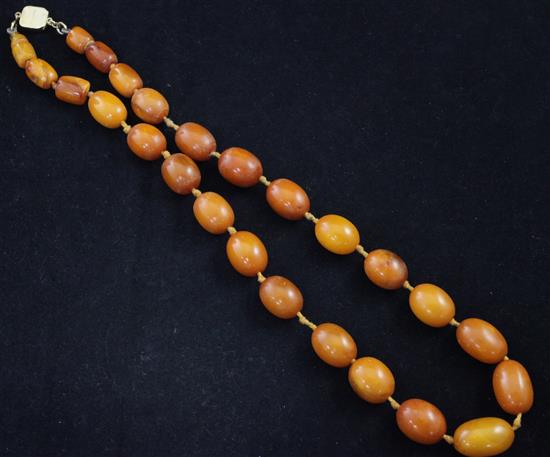 A single strand graduated oval amber bead necklace, 19in.